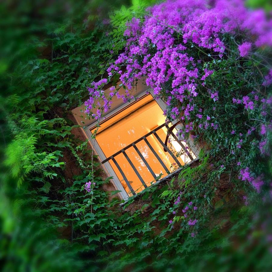 Bio Hotel Raphael - Relais & Chateaux Рим Екстериор снимка